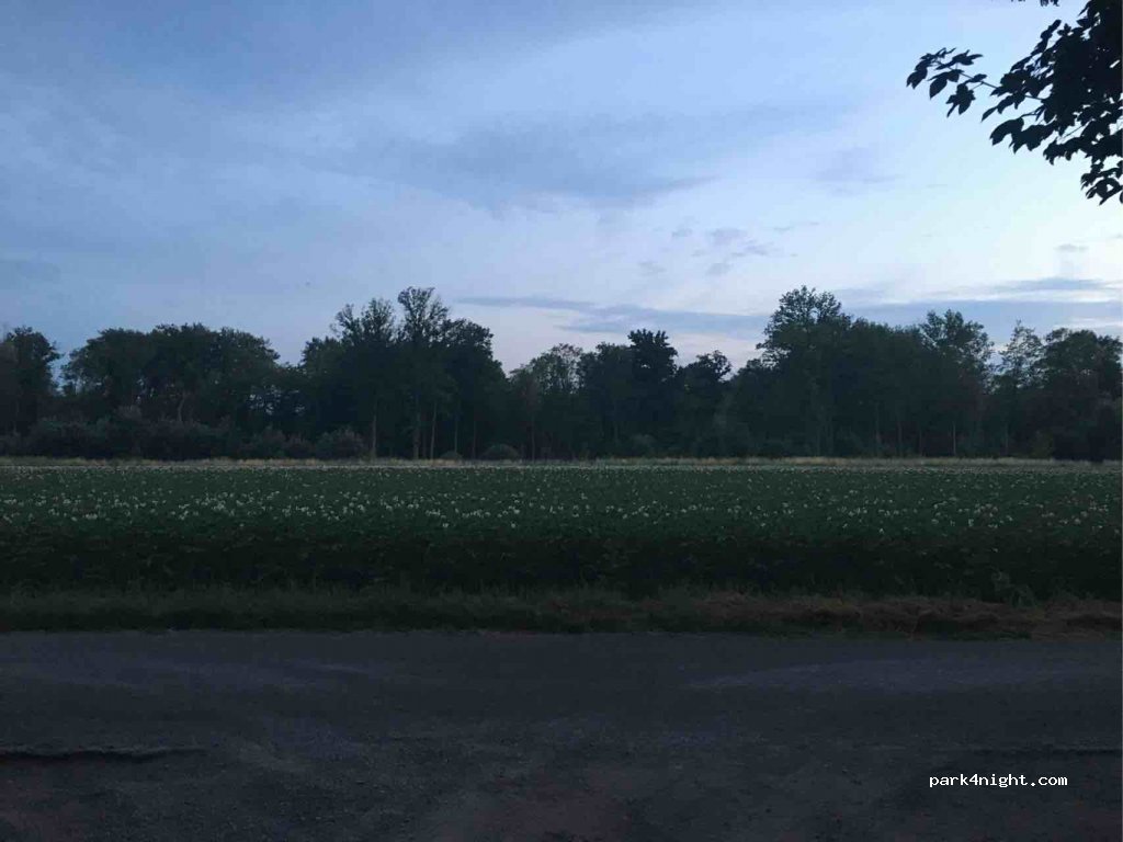 (62660) Beuvry - 658 Rue de Bellenville — foto 2
