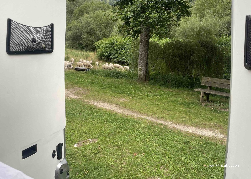 (15590) Velzic - 1 Allée du Lac — foto 5