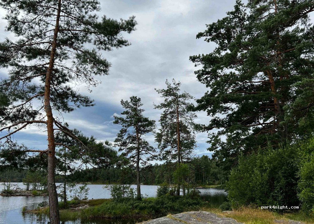 (1798)  - 1 Primær Fylkesveg 21 — foto