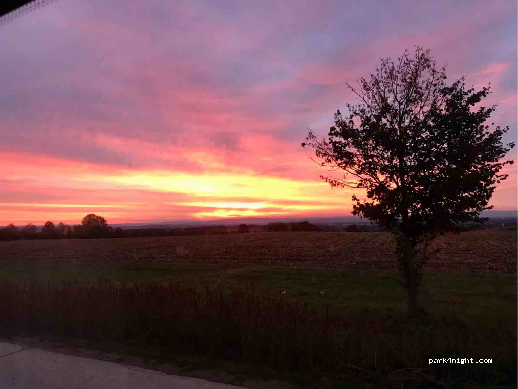 (61137) Schöneck - L3008 — foto 2