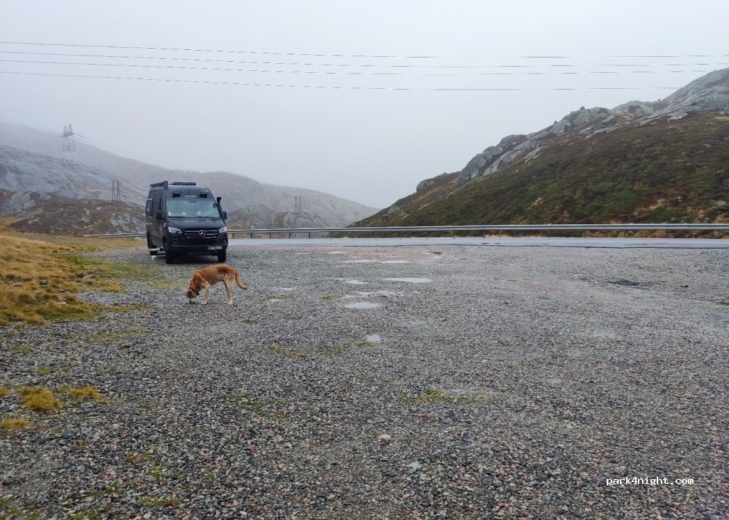 (4127)  - 1 Sekundær Fylkesveg 500 — foto 2