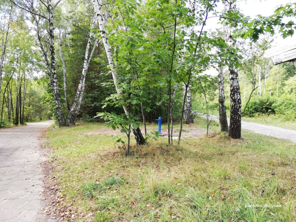 (41) Dąbrowa Górnicza - 18 Pogoria — foto 2