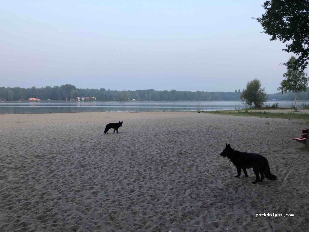 (41) Dąbrowa Górnicza - 18 Pogoria — foto 3