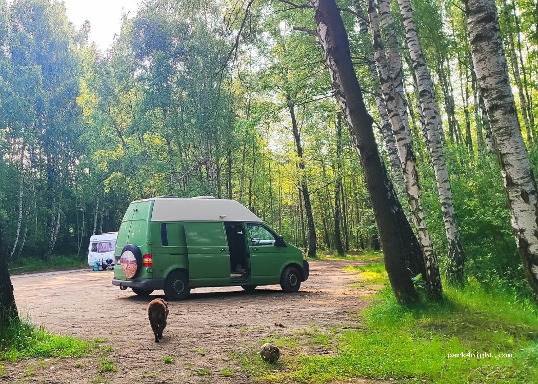 (41) Dąbrowa Górnicza - 18 Pogoria — foto 5