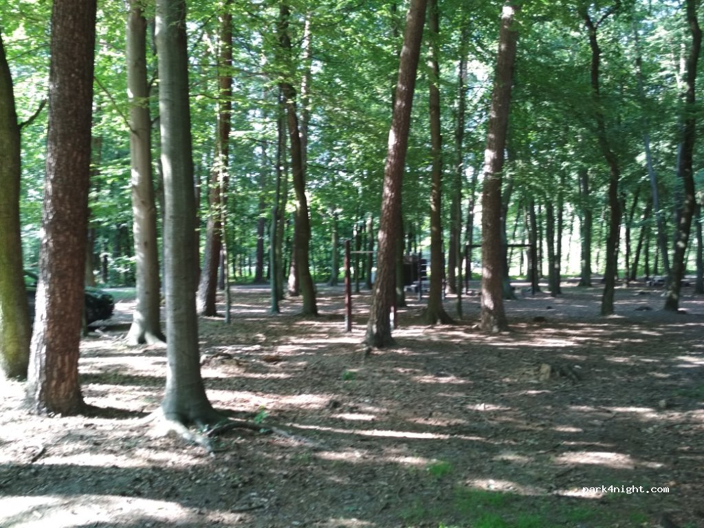 (32-014) Dąbrowa - Droga Krajowa 75 — foto 2