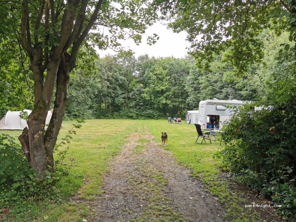 Camperplaats/Camping De Boskant/ Restaurant — foto 2