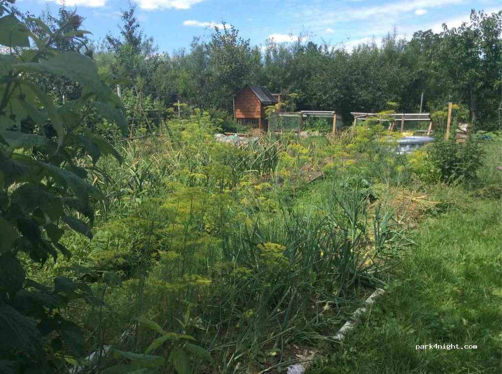 Agroturystyka Pod Wierzbami — foto 2