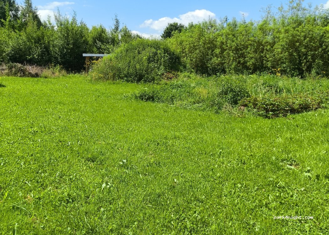 Agroturystyka Pod Wierzbami — foto 3