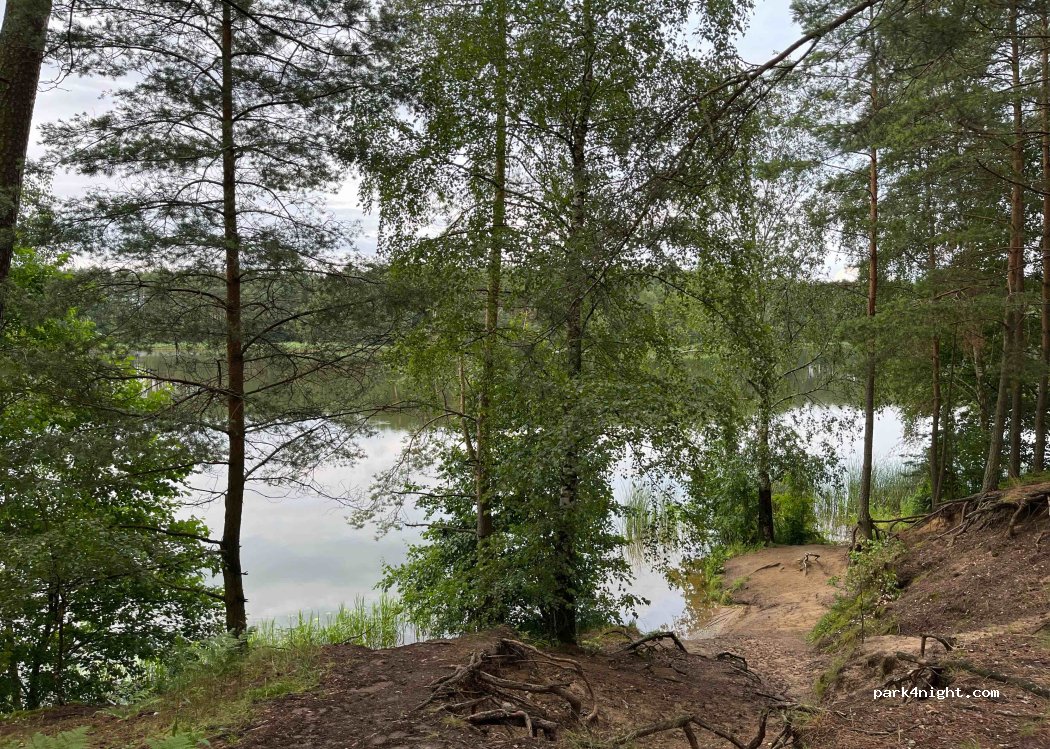 ()  - Samociążek - Stronno — foto 2