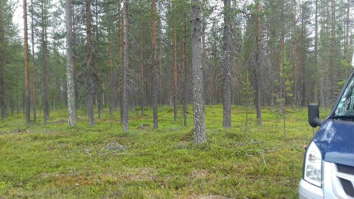(99510)  - 614 Seipäjärventie — foto