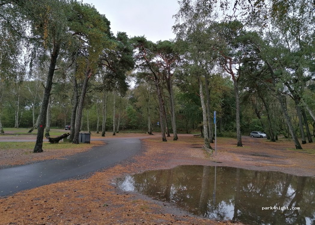Kronoskogen recreation area — foto 3