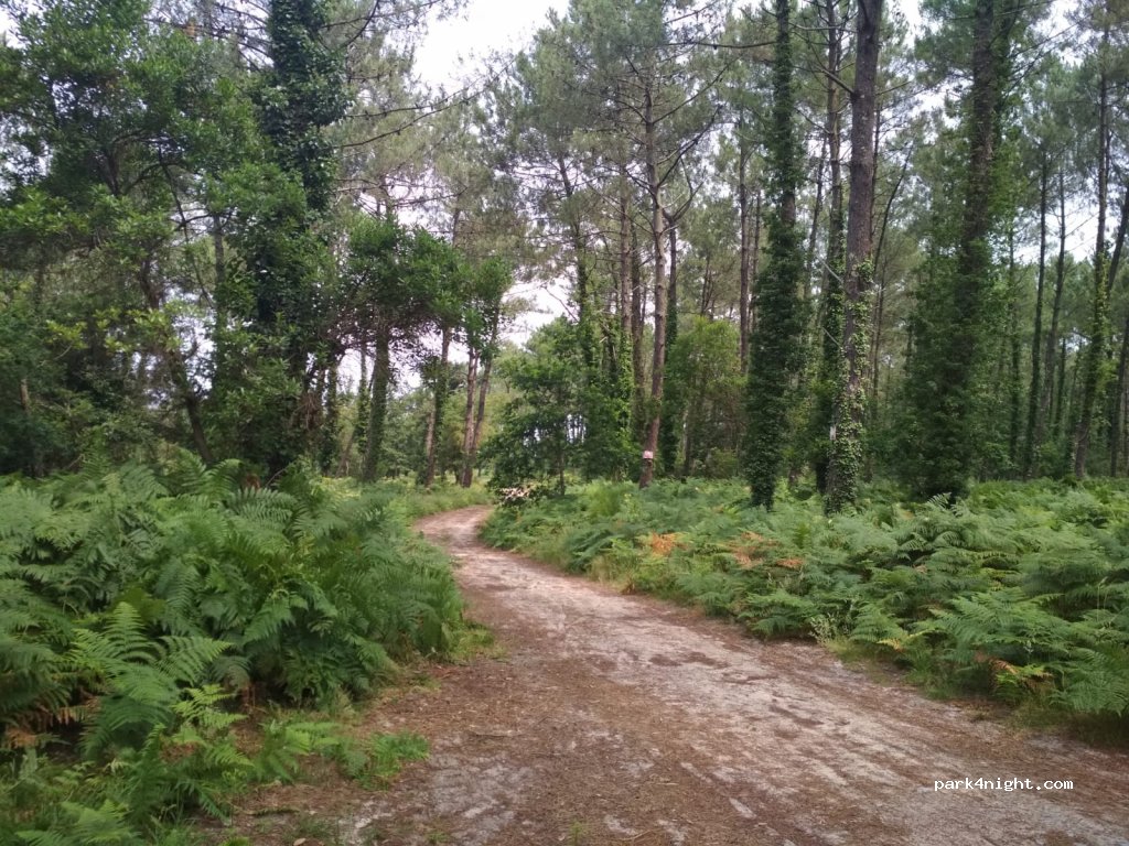 (40530) Labenne - Unnamed Road — foto 2