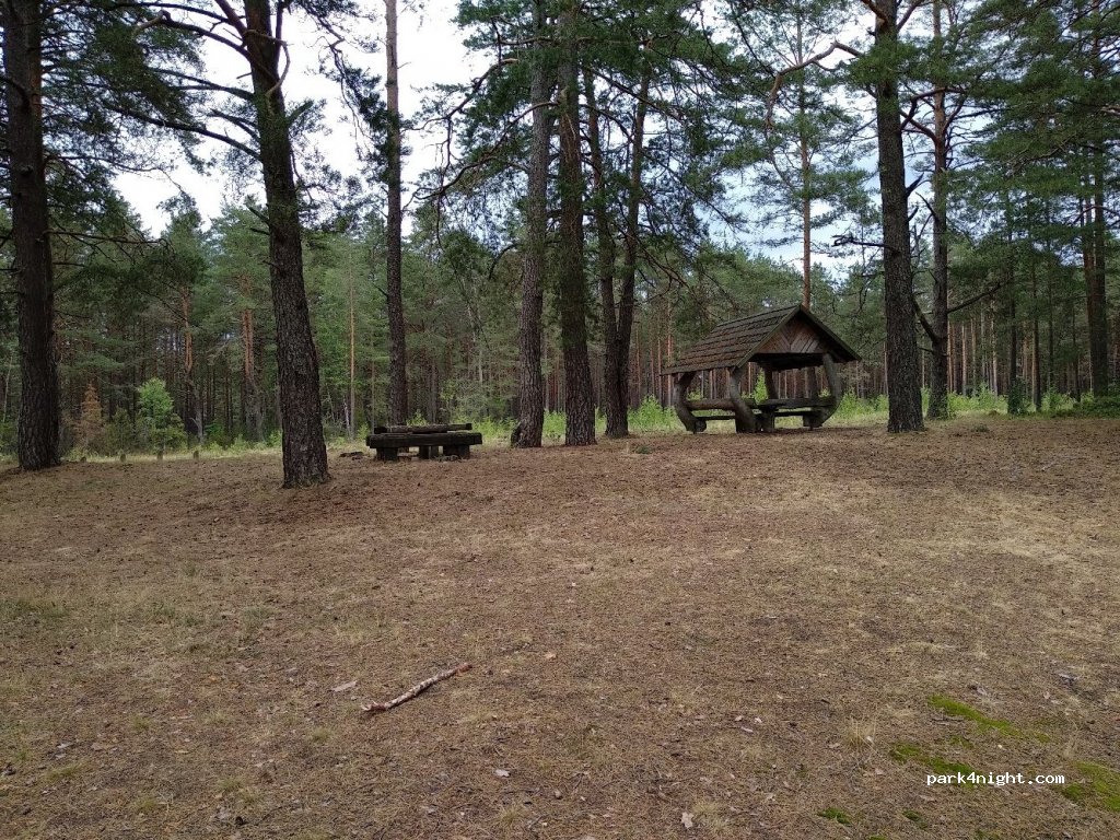 (65273) Marcinkonys - Unnamed Road — foto