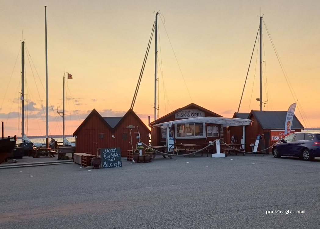 (5953) Tranekær - 5 Lohals Havn — foto 3