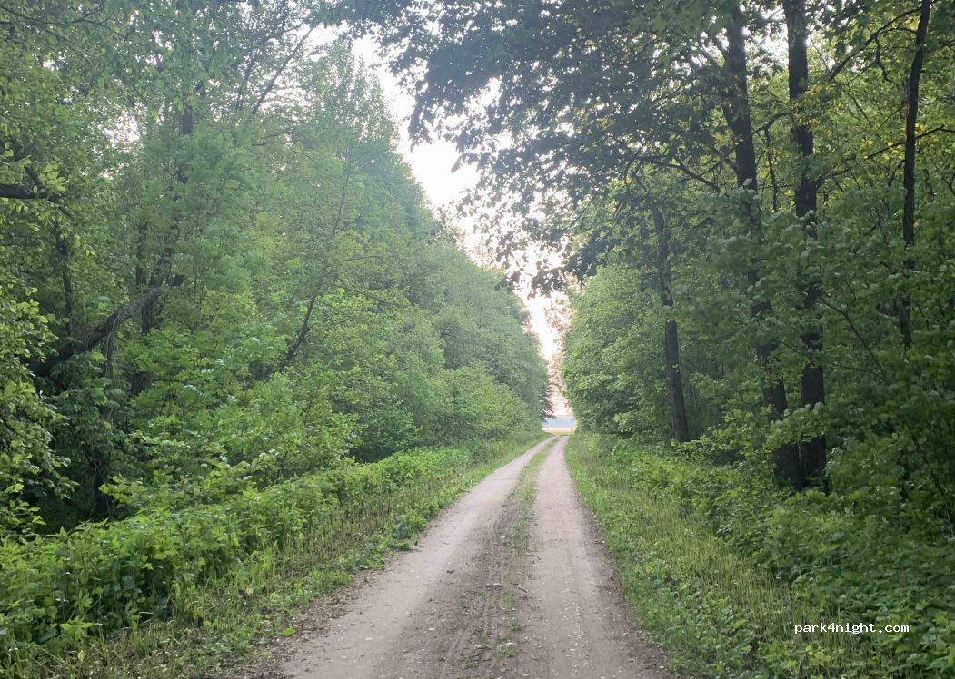 (88323) Didysis Palūkstis - Unnamed Road — foto 5