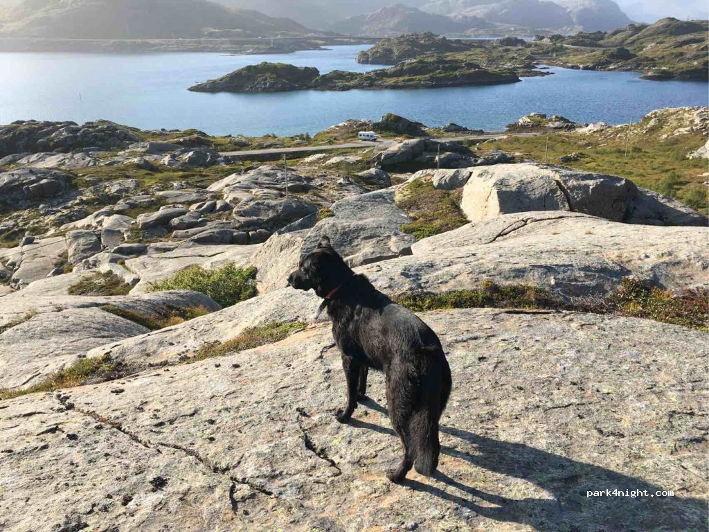 (8384) - 42 Sekundær Fylkesveg 810 — foto 2