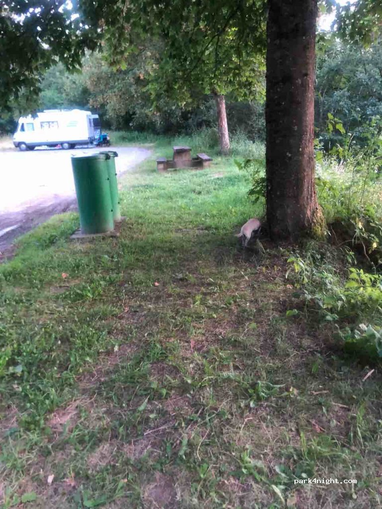 (9660) Insenborn - N27 — foto