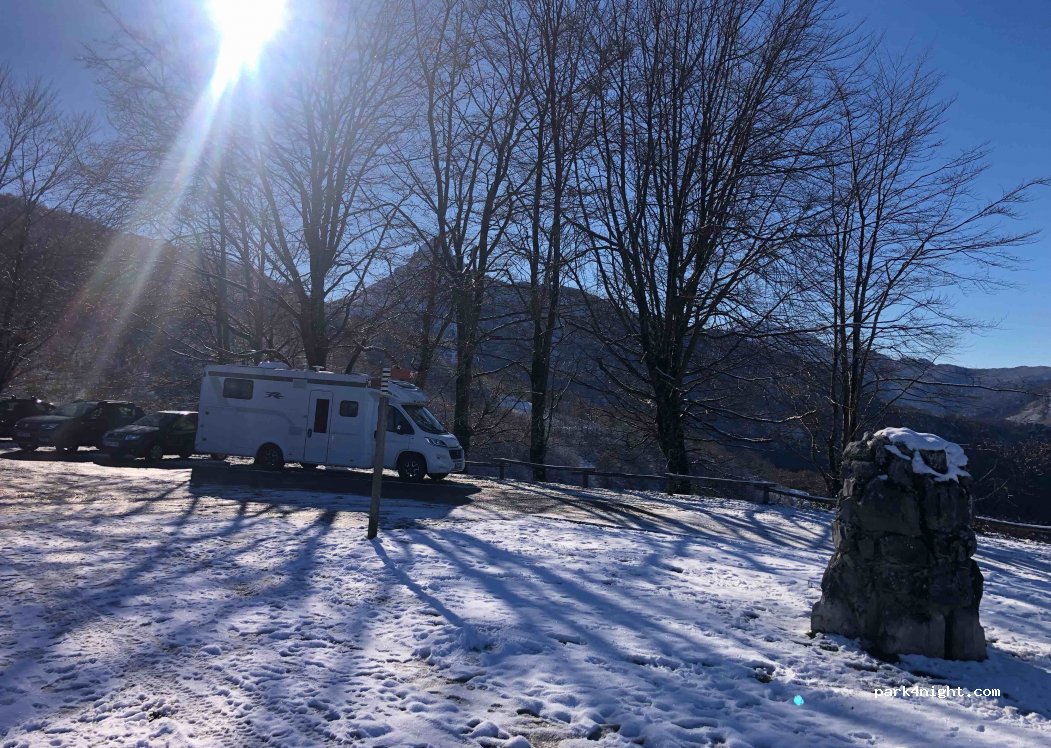 (33557) Ponga - — foto 4