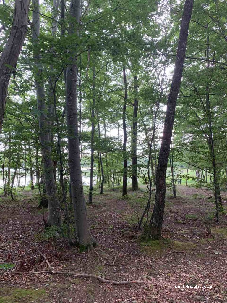 (38870) Saint-Pierre-de-Bressieux - Revel — foto 2