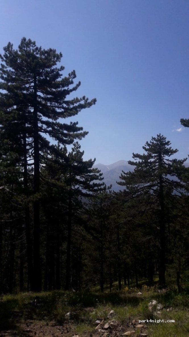 (400 04) Tempi - Unnamed Road — foto 3
