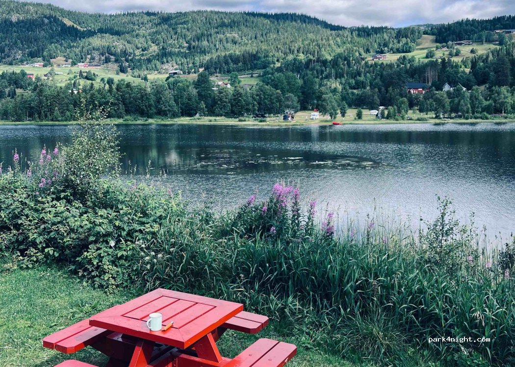 (3848) Morgedal - Brunkebergvegen — foto 2