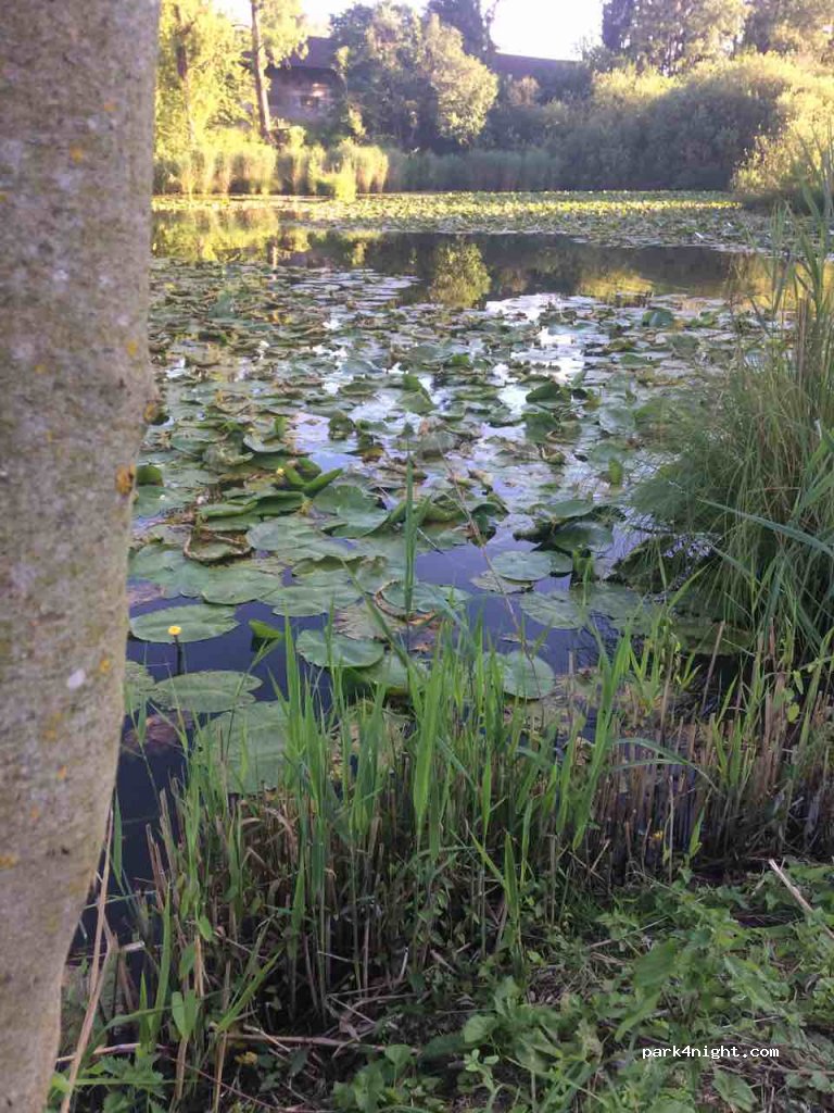 (85560) Ebersberg - 6 Am Priel — foto