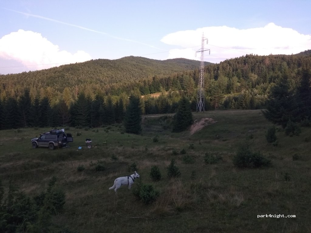 (727099) Solonețu Nou - 1197 DJ209L — foto