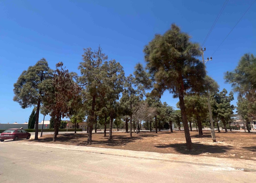 (07640) Ses Salines - Carrer Costa i Llobera — foto 3