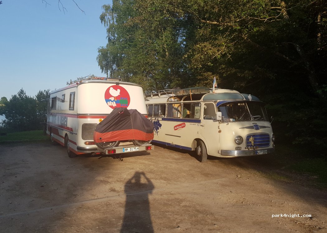 (81209) Pakumulšiai - E272 — foto 2