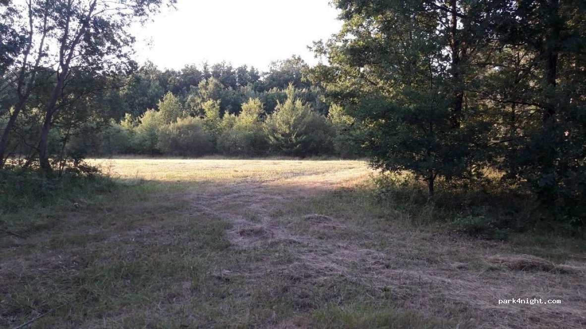 (31620) Castelnau-d'Estrétefonds - 1518 Chemin de l'Escrimayre — foto