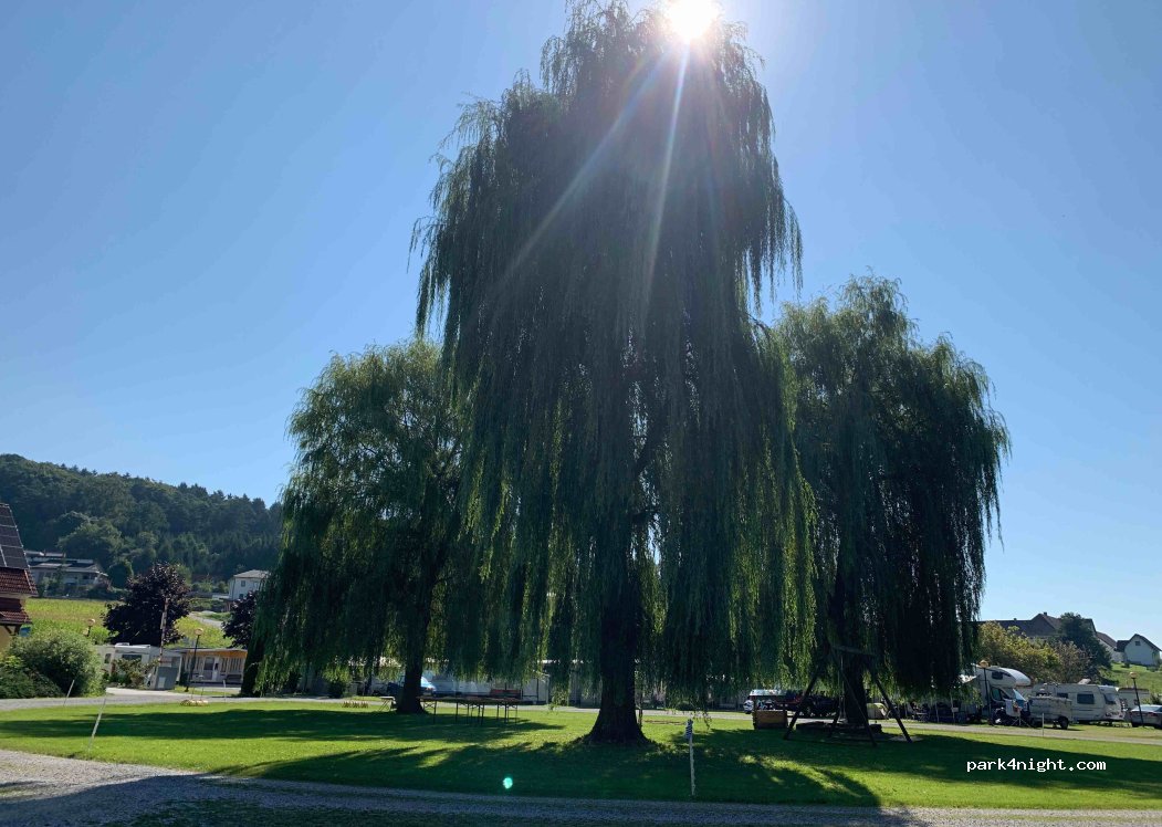 Thermenland Camping Bad Waltersdorf — foto 4