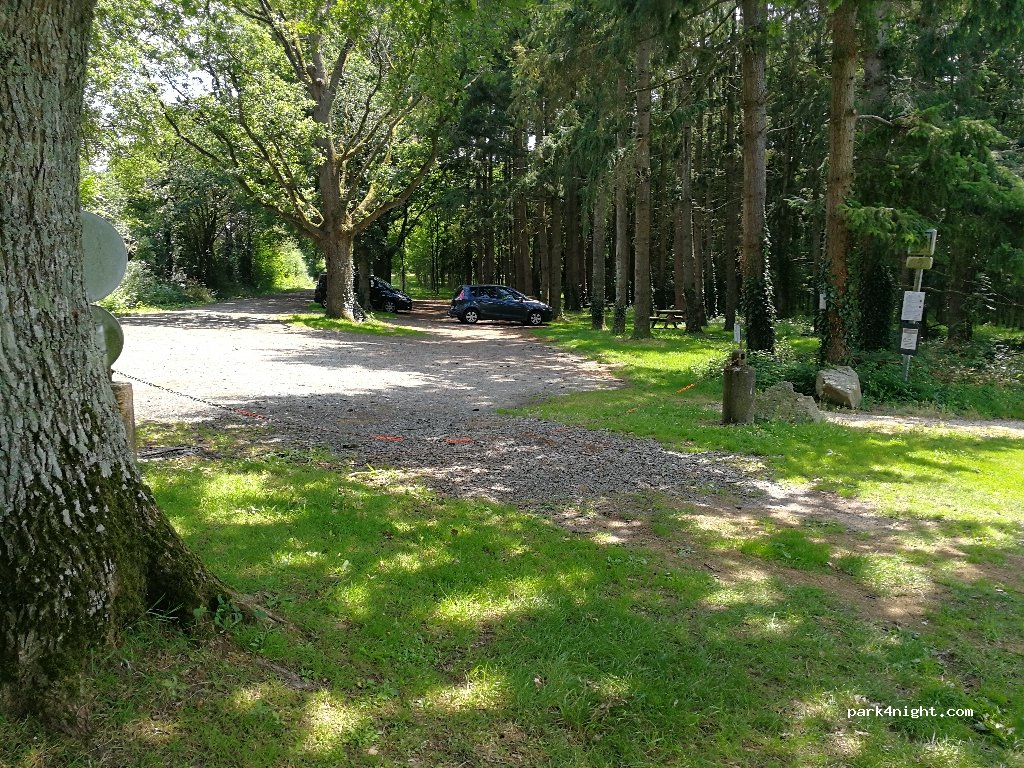 (85130) Les Landes-Genusson - D72 — foto