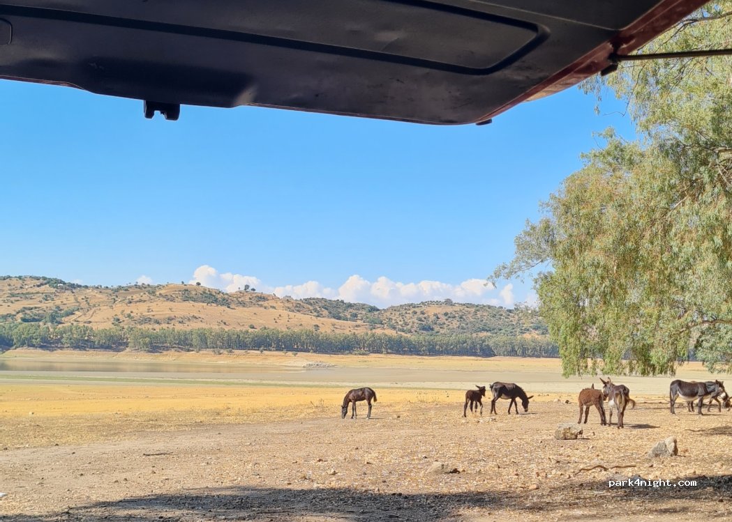 (94017) Regalbuto - Unnamed Road — foto 3