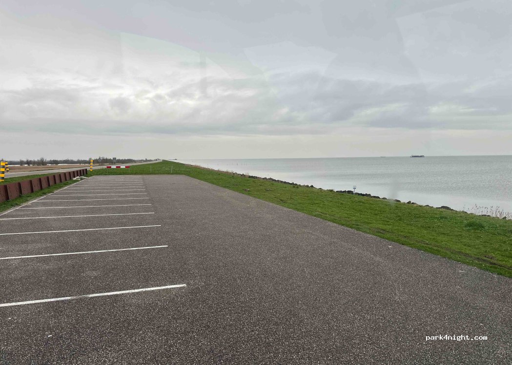 (8218) Lelystad - Oostvaardersdijk — foto 2