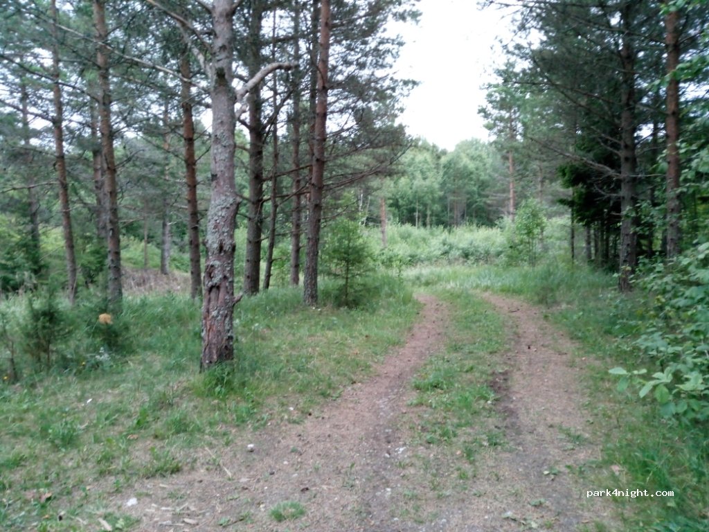 (76102) Rummu - — foto 2