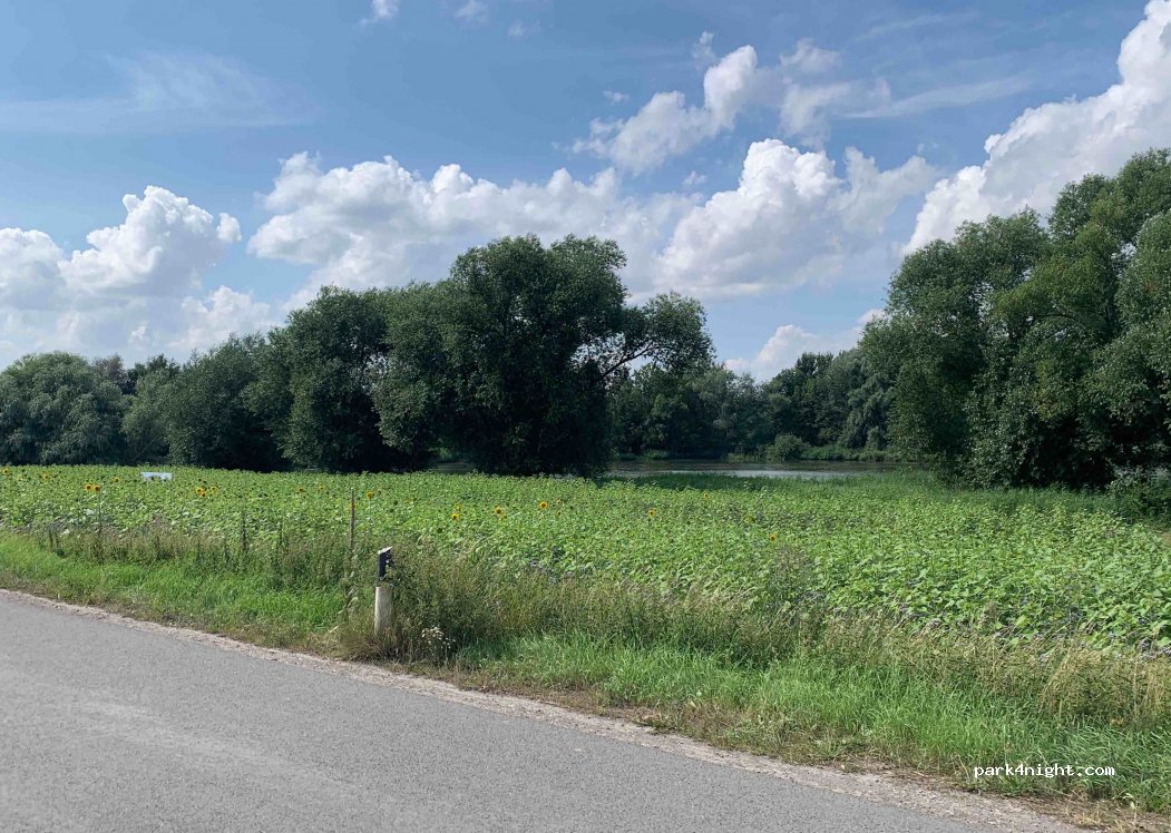 (99986) Niederdorla - 8 Rotheweg — foto 2
