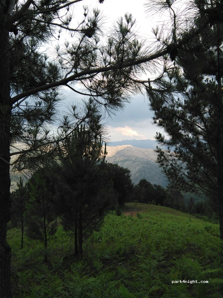 (4970)  - Unnamed Road — foto