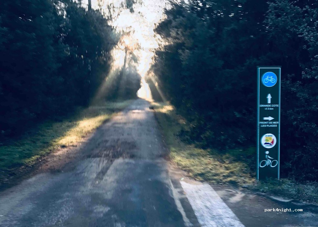 (17570) Les Mathes - Avenue de Royan — foto
