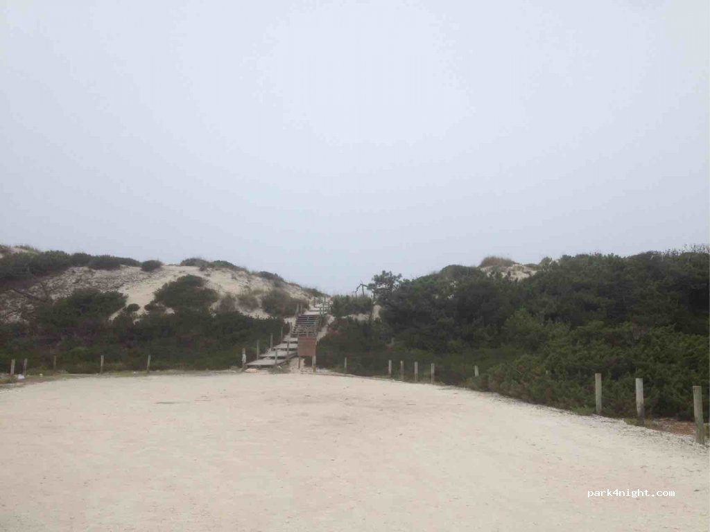 (2425)  - Estrada Florestal — foto 2