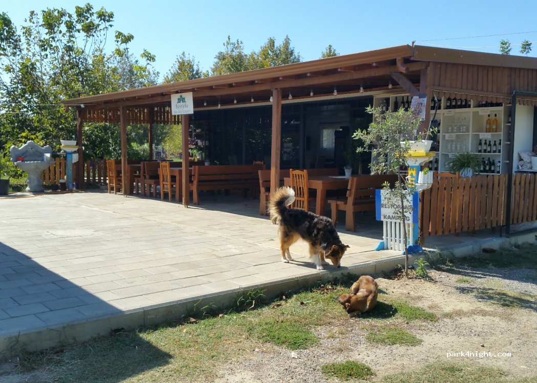 ()  - Rruga e plazhit — foto 3