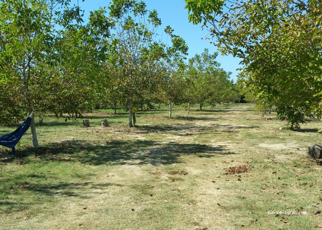 ()  - Rruga e plazhit — foto 4