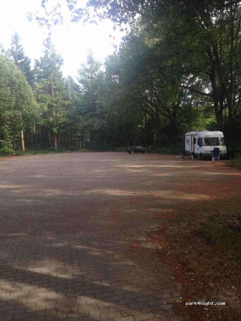(7794) Rheeze - Oldemeijerweg — foto