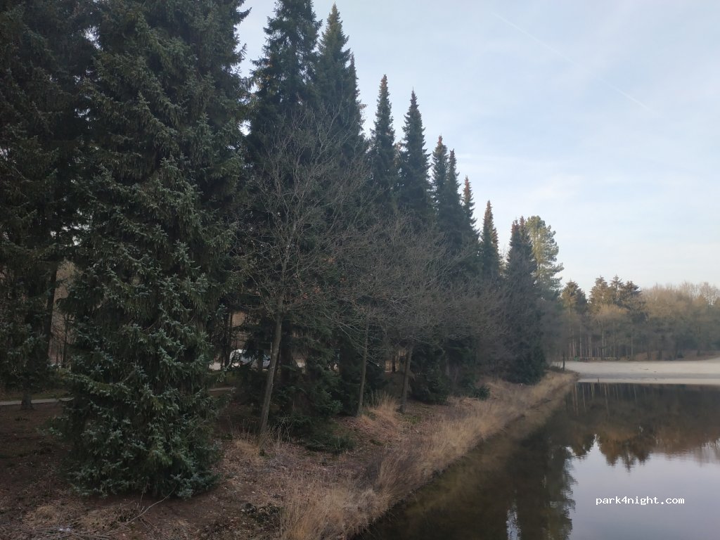 (7794) Rheeze - Oldemeijerweg — foto 3