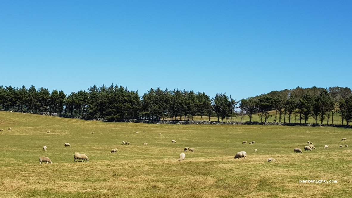 (4156) Mosterøy - 175 Fjøløyveien — foto