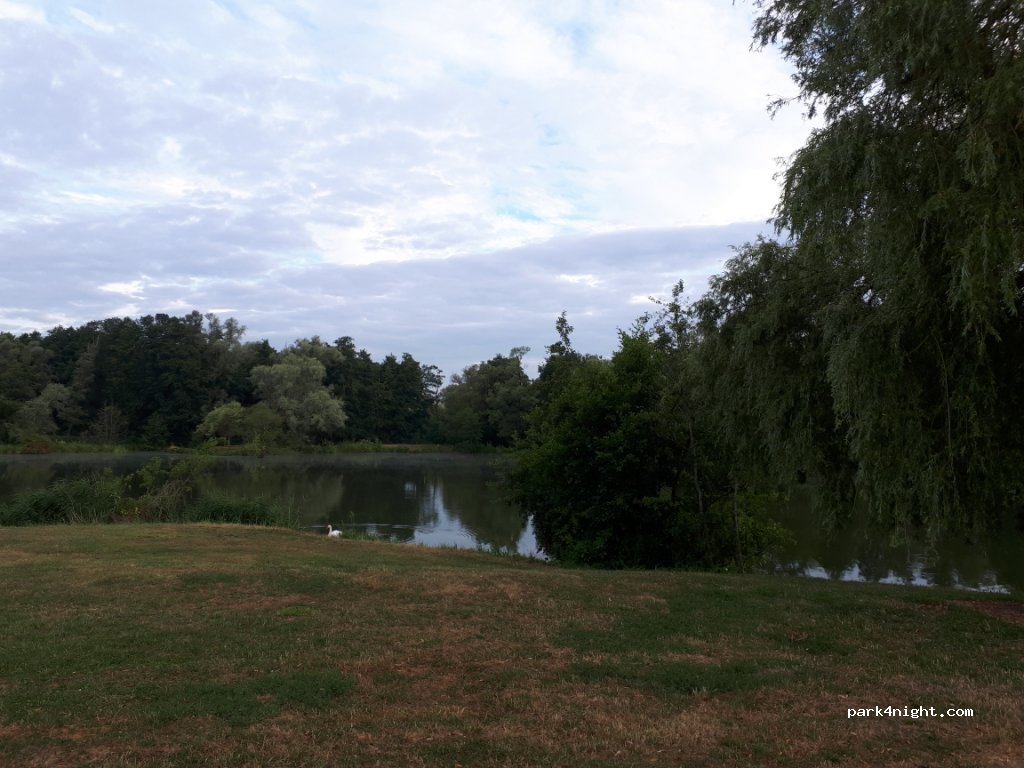 (54360) Damelevières - 3 Chemin du Saulcy — foto 3