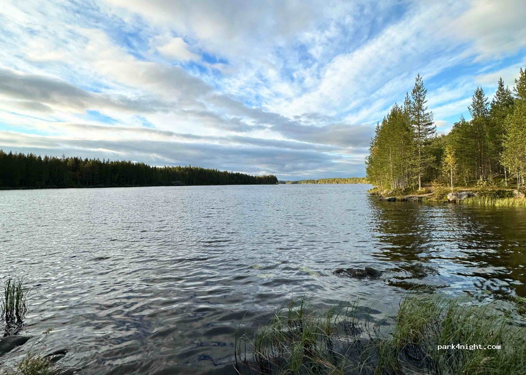 (790 90) Särna - Transtrandsvägen — foto 3