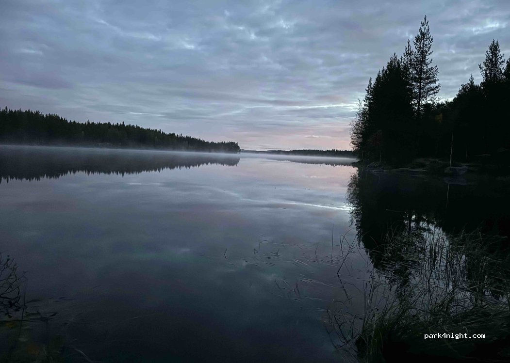 (790 90) Särna - Transtrandsvägen — foto 4