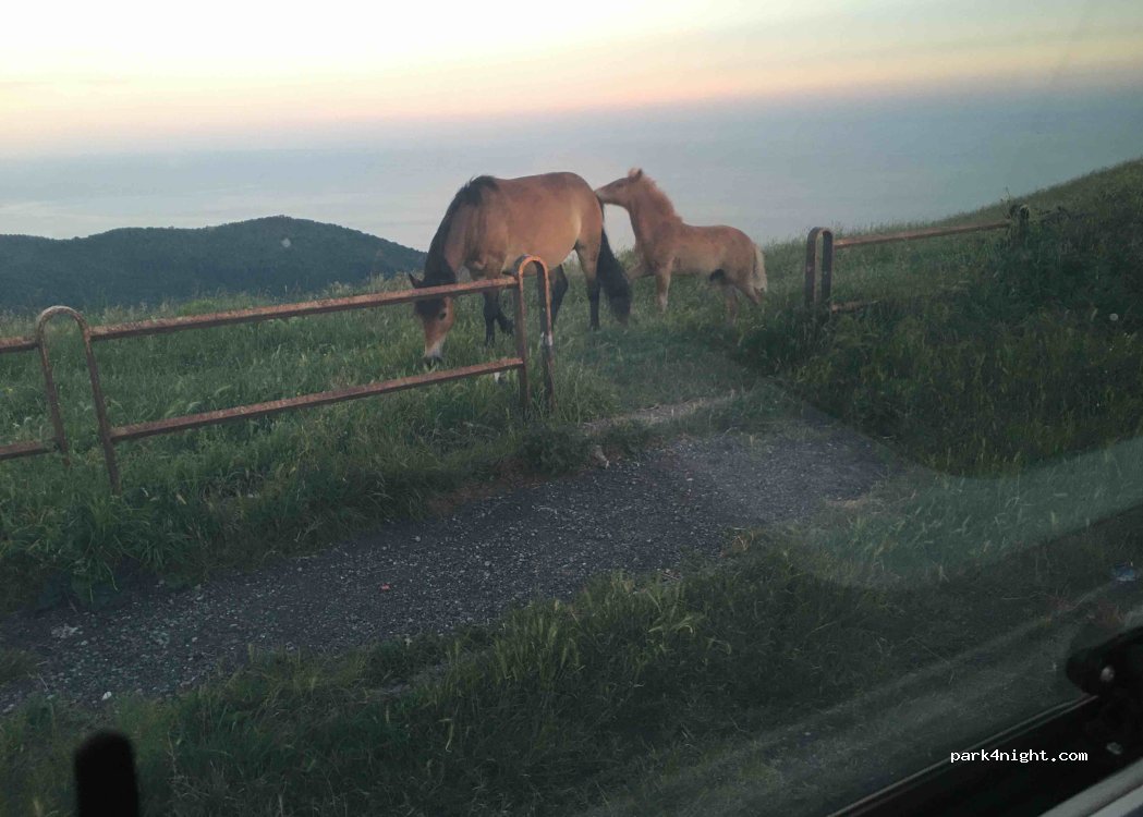 (16133) Genova - Via da Apparizione a Cisiano — foto 2