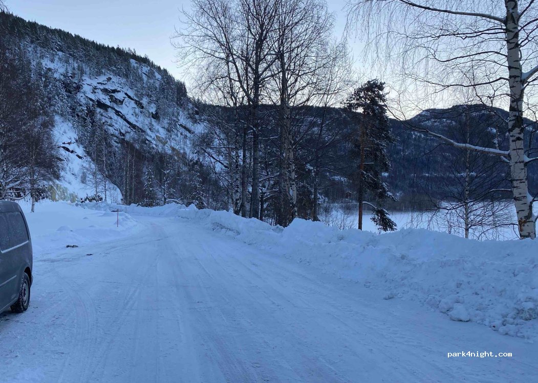 (3539) Flå - Krøderfjorden — foto 4