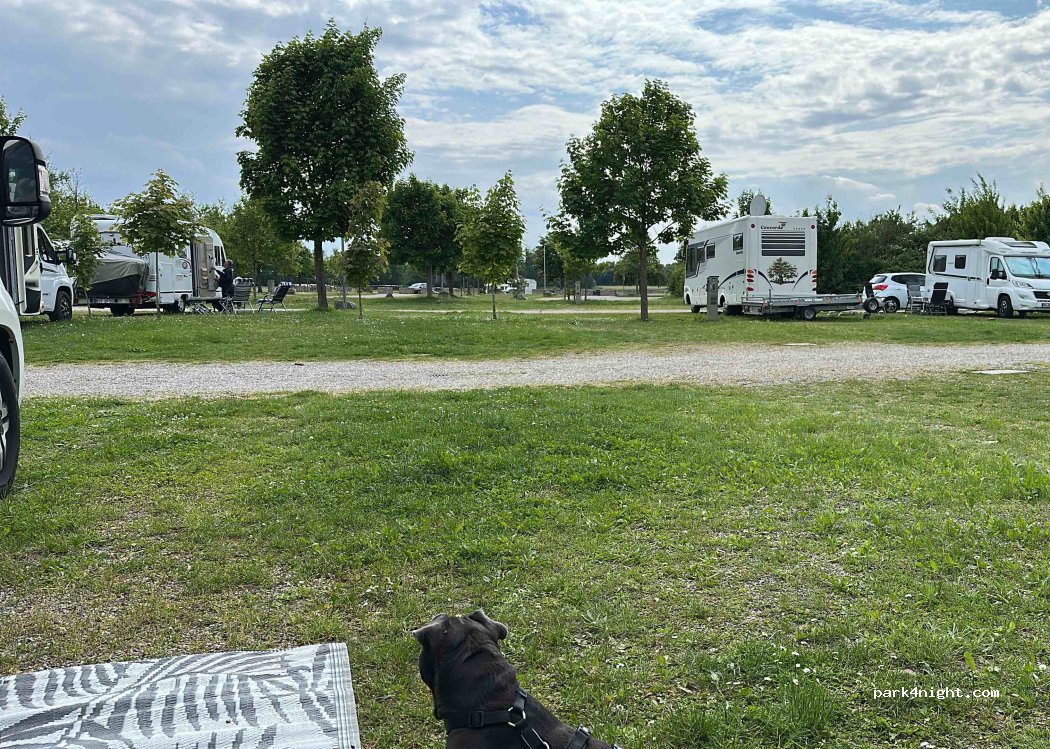 (77836) Rheinmünster - Grünpark Str./Am Campingpark 1 — foto 5